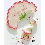 Sticker de Saudações para WhatsApp