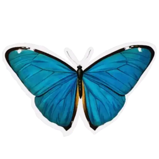 Coletadas sticker 11774