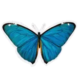 Sticker de Animais para WhatsApp