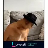 Sticker para WhatsApp