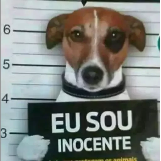 Figurinha para WhatsApp — Cachorros