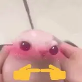 Figurinha de Animais para WhatsApp