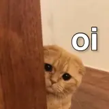 Figurinha de Gatos para WhatsApp