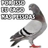 Sticker de Memes Brasileiros para WhatsApp