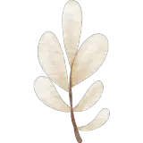 Figurinha para WhatsApp