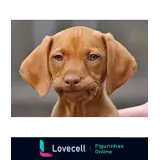 Sticker para WhatsApp