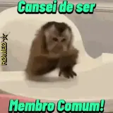 Figurinha de Memes Brasileiros para WhatsApp