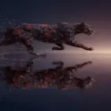 Figurinha de Animais para WhatsApp