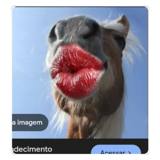 Coletadas sticker 3754