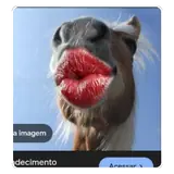 Figurinha de Memes para WhatsApp