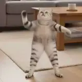 Gatos WhatsApp sticker