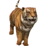 Figurinha para WhatsApp