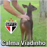 Figurinha para WhatsApp
