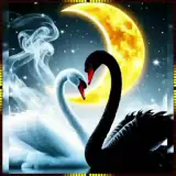 Sticker para WhatsApp