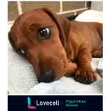 Sticker para WhatsApp