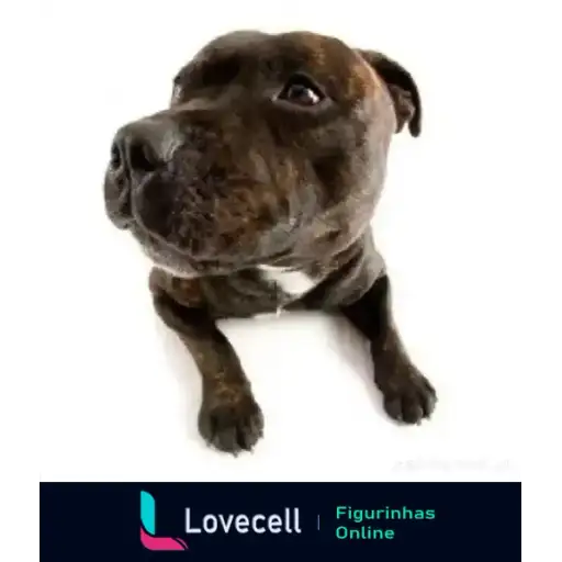 Coletadas sticker 33214