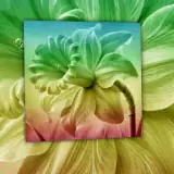 Figurinha para WhatsApp