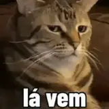 Figurinha de Memes Brasileiros para WhatsApp