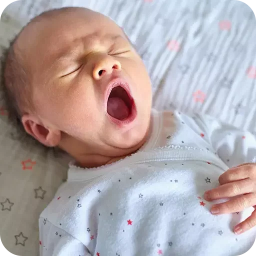 Sticker para WhatsApp — reação