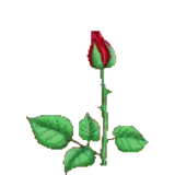 Figurinha para WhatsApp