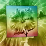 Figurinha para WhatsApp