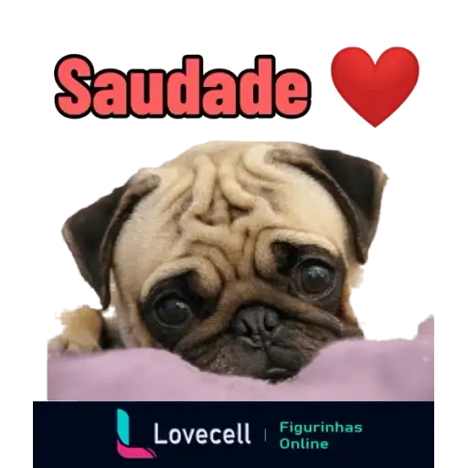 Coletadas sticker 32945