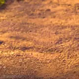 Figurinha para WhatsApp