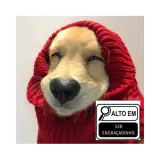 Figurinha de Cachorros para WhatsApp