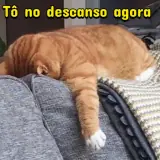 Gatos WhatsApp sticker