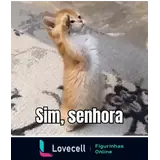 WhatsApp sticker