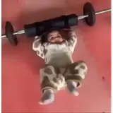 Figurinha de Engraçados para WhatsApp