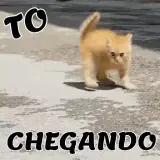 Figurinha de Animais para WhatsApp