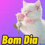 Figurinha de Saudações para WhatsApp