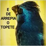 WhatsApp sticker