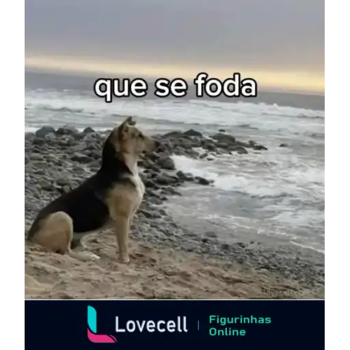 Coletadas sticker 33782