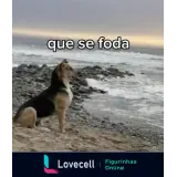 Figurinha para WhatsApp
