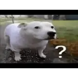 Figurinha para WhatsApp