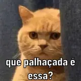 Figurinha de Gatos para WhatsApp