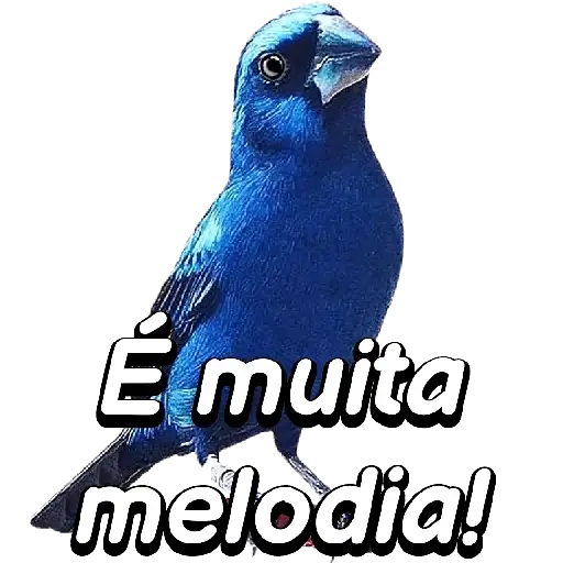 Coletadas sticker 28692