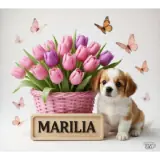 Figurinha de Animais para WhatsApp