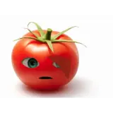 Memes WhatsApp sticker