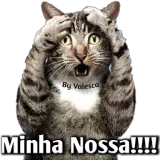 Figurinha de reação para WhatsApp