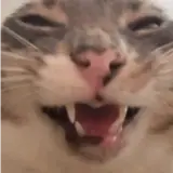 Figurinha para WhatsApp