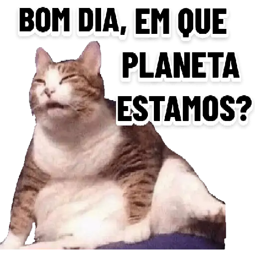 Coletadas sticker 19020