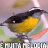 Figurinha para WhatsApp