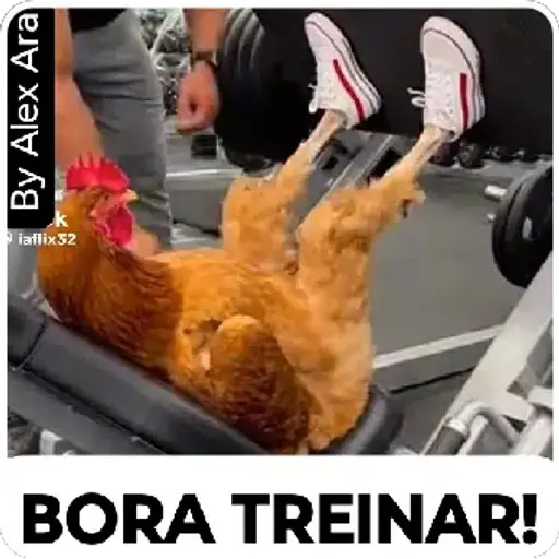 Coletadas sticker 375