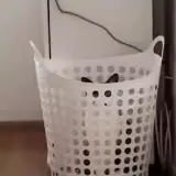 Figurinha para WhatsApp