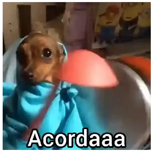 Coletadas sticker 17281