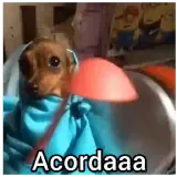Figurinha de Cachorros para WhatsApp