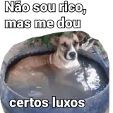 Figurinha para WhatsApp